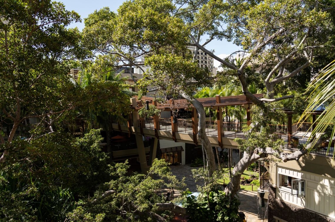 客室からの景色