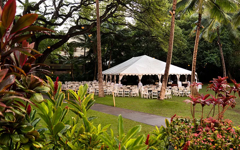 ロイヤルハワイアン中心部に広がるココナッツ・グローブのガーデン会場。ヤシの木に囲まれた芝生に白いテントとテーブルが設えられている